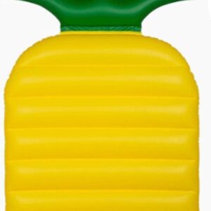 Luchtbed ananas